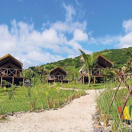 Otentic, Eco Tent Experience Grand River South East ภายนอก รูปภาพ