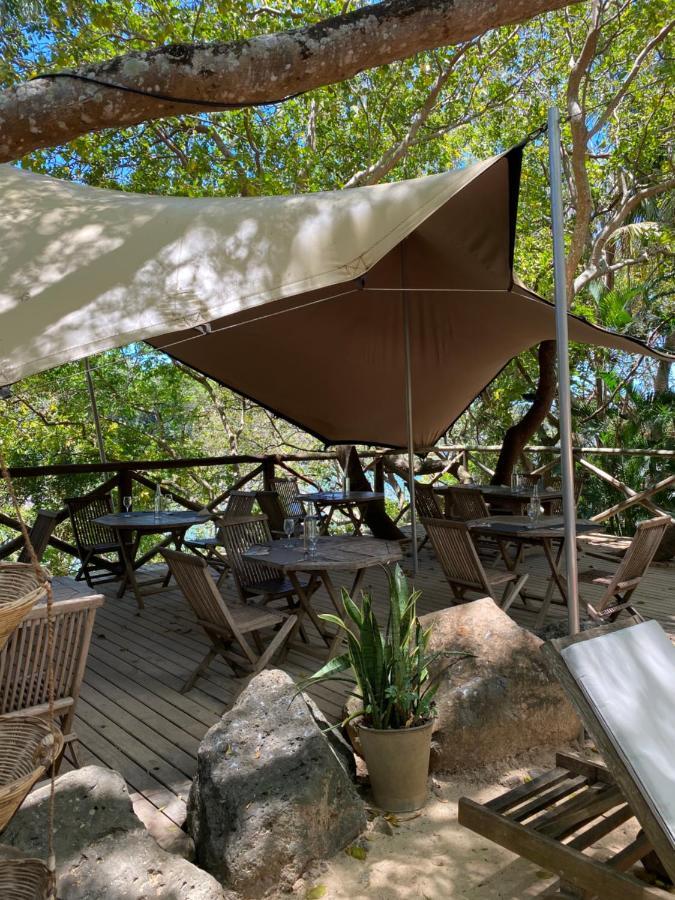Otentic, Eco Tent Experience Grand River South East ภายนอก รูปภาพ