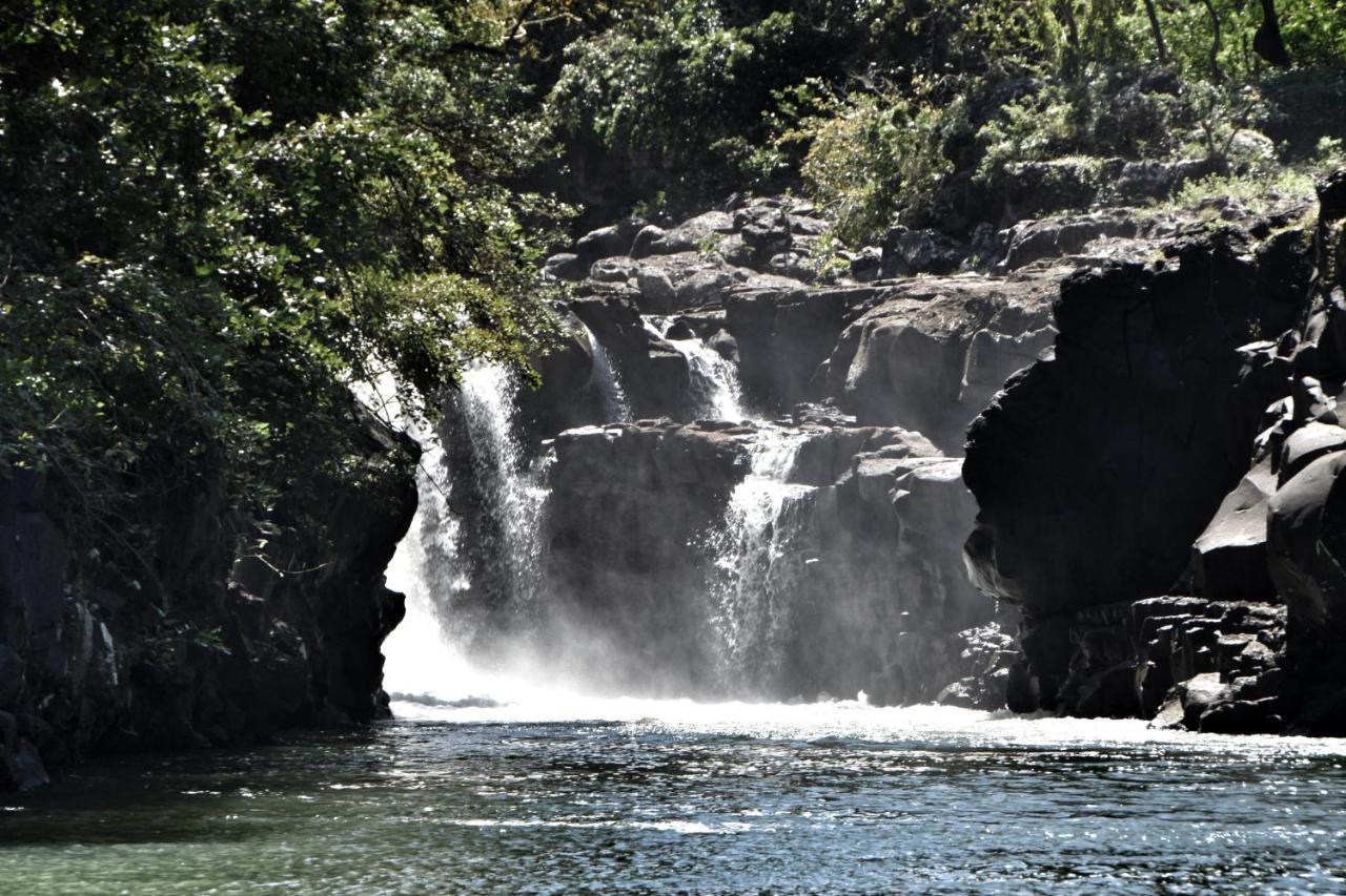 Otentic, Eco Tent Experience Grand River South East ภายนอก รูปภาพ