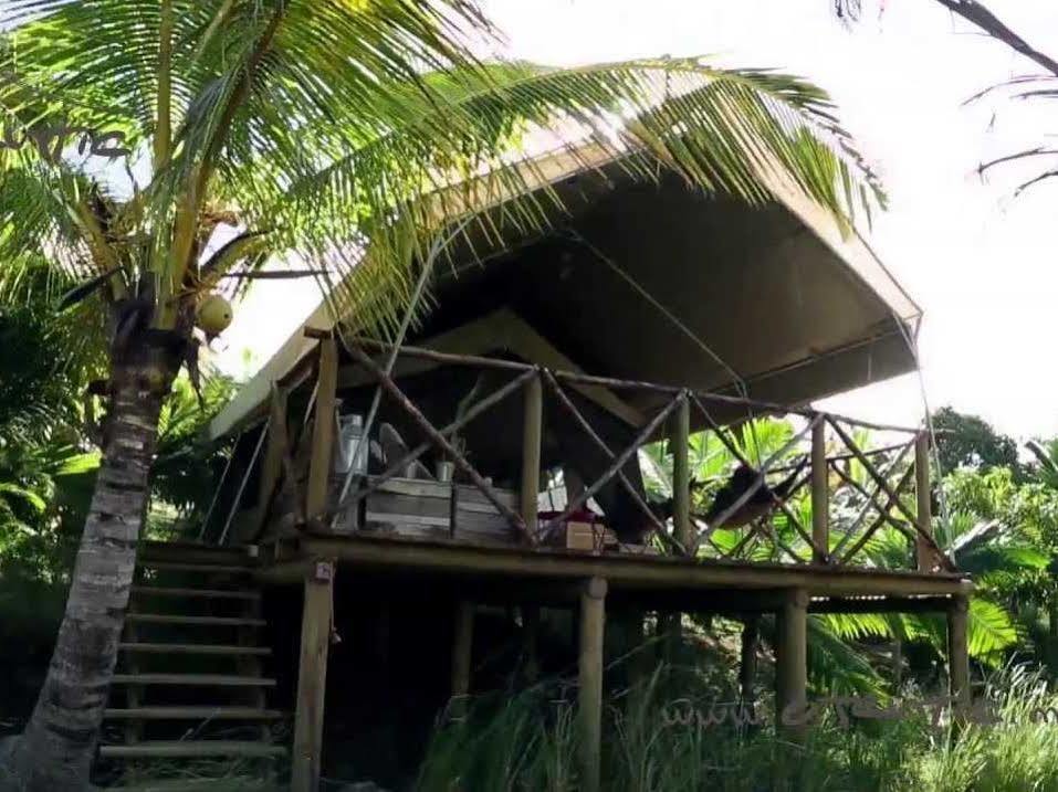 Otentic, Eco Tent Experience Grand River South East ภายนอก รูปภาพ